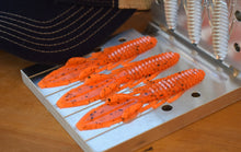 Load image into Gallery viewer, Speckled Pumpkin Creature Baits
